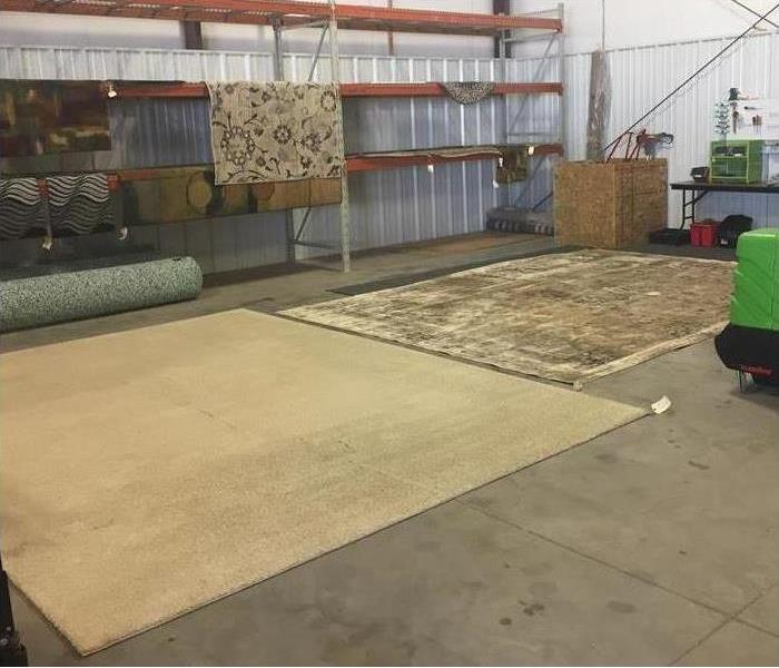 Mold on flooring rugs